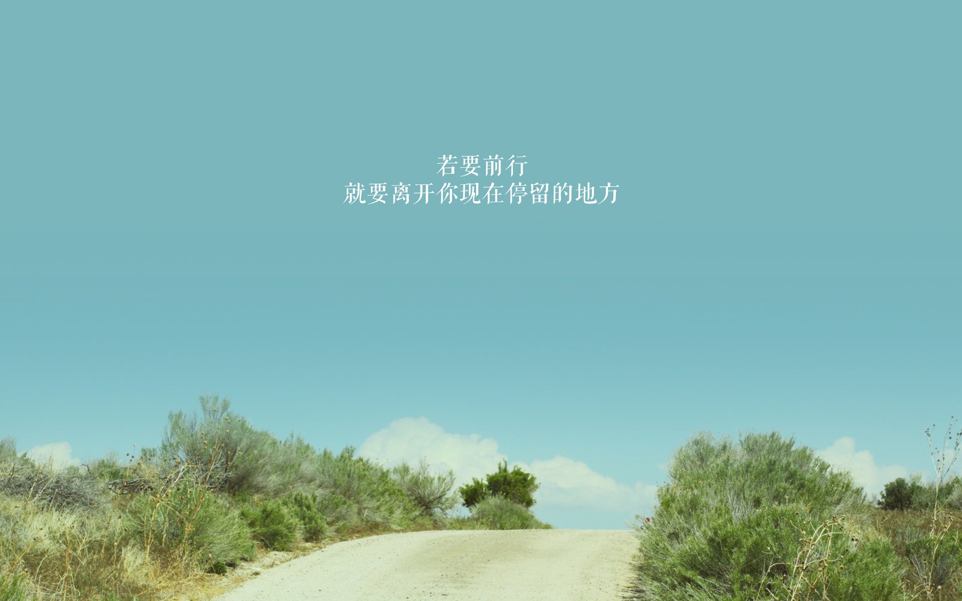 九游游戏中心官网-WRC新技术亮相：智能辅助带来新体验，wrc软件