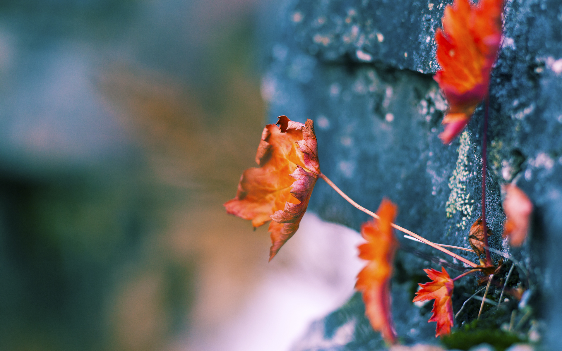 九游游戏-意甲激战，专家点评战术调整，意甲冲突